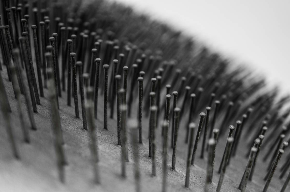 Before and After Using a Spoolie Brush