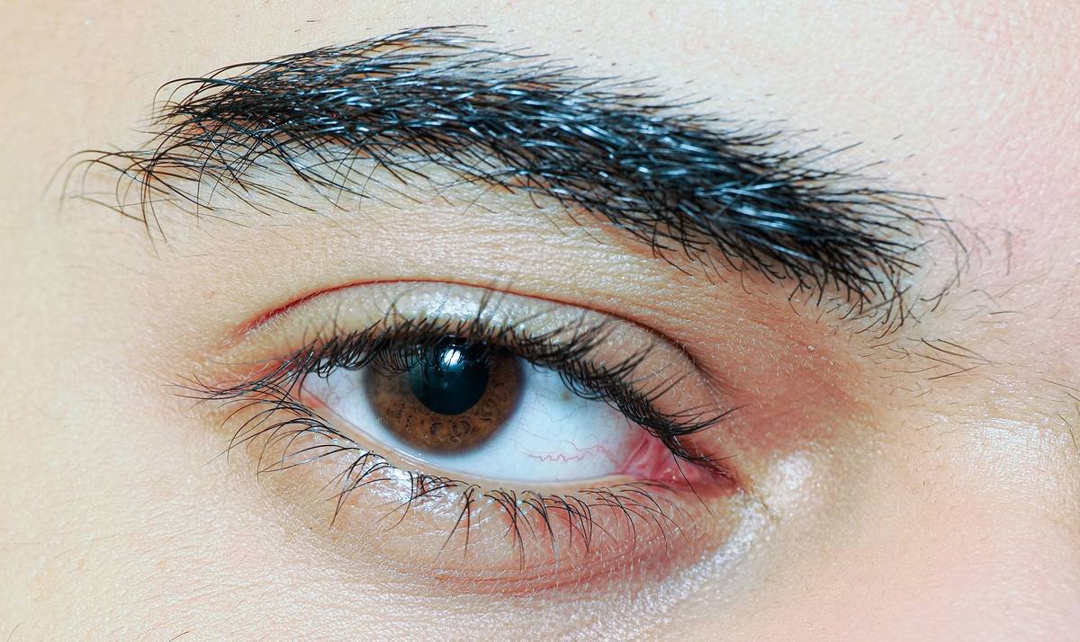 Diagram illustrating correct brushing techniques for professional eyebrow brushes