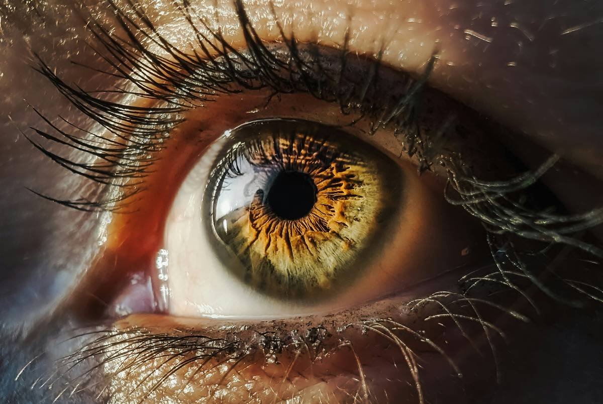 Why Your Eyebrow Game Needs an Upgrade: Mastering the Art of the Eyebrow Shading Tool